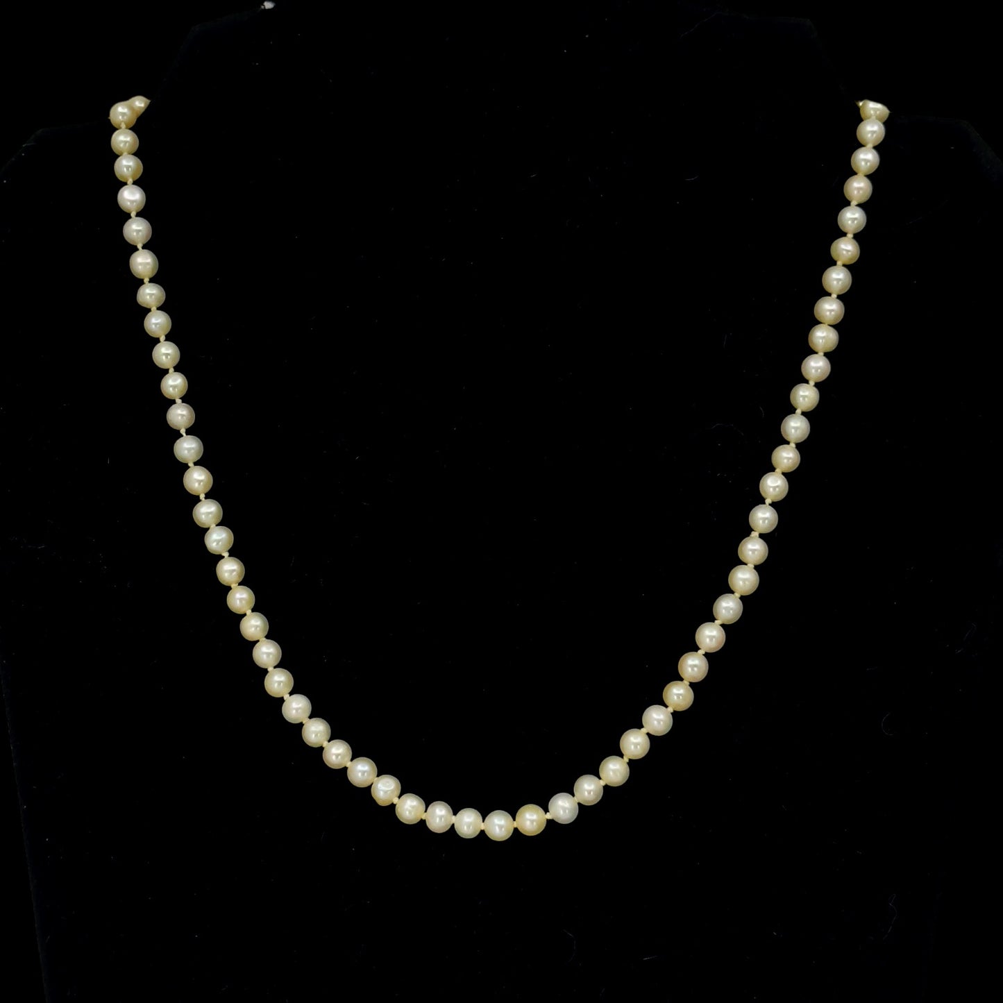 14k gold 5mm Freshwater pearl  necklace