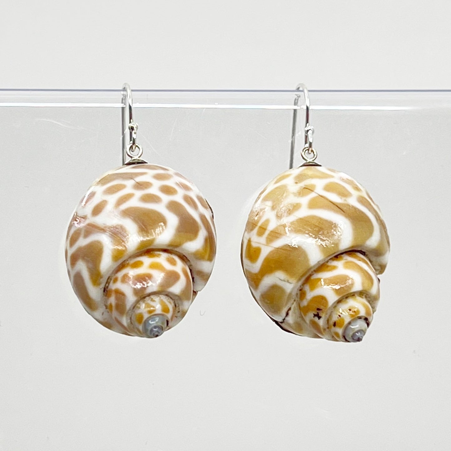 Sterling silver Babylonia spirata seashell earrings